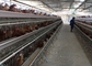 5 غرفة 160 طائر الدجاج طبقة بطارية قفص في مزرعة الدواجن الآلية