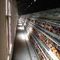 قفص طبقة دجاج آلي تجاري لمعدات مزرعة الدواجن