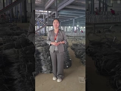 عرض ورشة عمل الشبكة الخفية