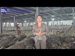 إدخال و عرض ورشة عمل الحاجز المضاد للدبابات