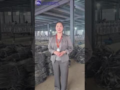 الحواجز السلكية غير واضحة MZP ورشة العمل