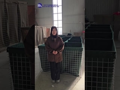 نماذج وتفسيرات مختلفة للحاجز الدفاعي