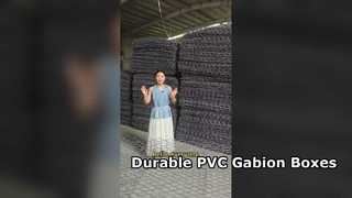 شبكة أسلاك الحديد المجلفن PVC المغلفة صندوق التراب