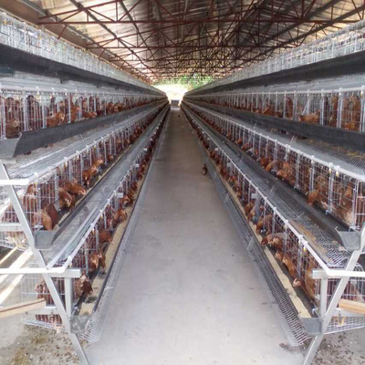 مزرعة دواجن 5 طبقات قفص دجاج 250 طائر حيواني