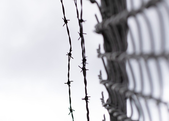 Farm Protection Anti Climb Single Strand PVC Coated Iron Barbed Wire