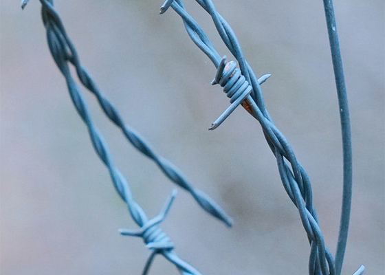 مقاومة للصدأ 3 أو 4 بوصة بارب المسافة خيط واحد PVC مغلفة الأسلاك الشائكة الحديدية