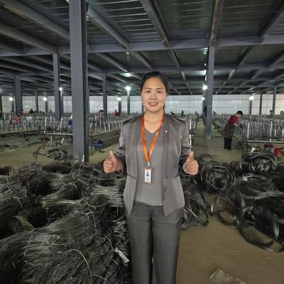 MZP Type Kn Anti tank Wire Net Low Visibility Tank Trap For Various Terrains Vehicle Immobilization Defense Barrier