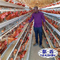 مزارع دواجن بيض أوتوماتيكية بطبقة بطارية H نوع قفص دجاج أوتوماتيكي