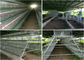 160 دجاجة تغذية تلقائية مزرعة دواجن وضع قفص دجاج