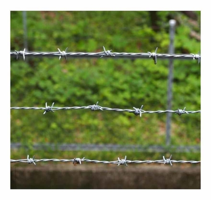 KN تسويق ساخن للأسلاك الشائكة للأسلاك الشائكة
