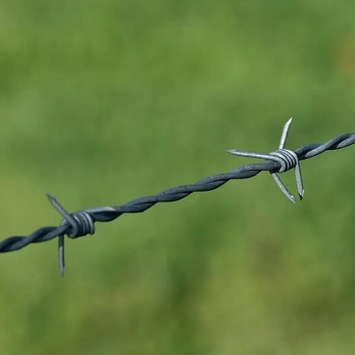 الأسلاك الشائكة سياج الأمن الأسلاك الشائكة مع شريحة الأسلاك الشائكة الأسلاك الشائكة الأسلاك الشائكة الأسلاك الشائكة الزيتية الأسلاك الشائكة البلاستيكية الأسلاك الشائكة مزرعة السياج الأسلاك الشائكة الأسلاك الشائكة الأسلاك الشائكة الأسلاك الشائكة