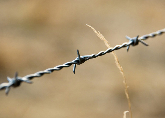 الحماية الزراعية المزدوجة الملتوية المغمورة الساخنة المسالكة الأسلاك الشائكة