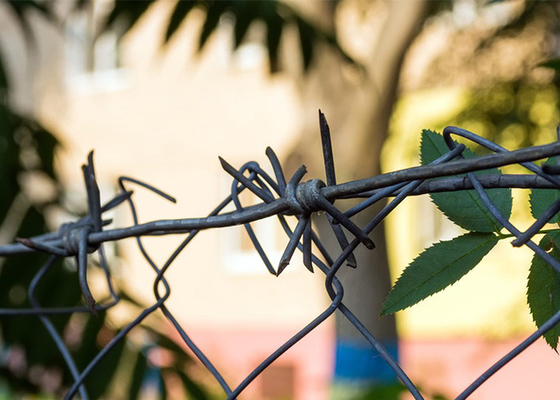 السلك الشوكي المناسب والسهل الحفاظ عليه للاحتياجات الأمنية