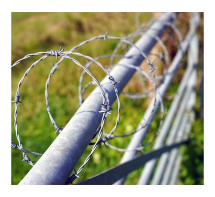 الأسلاك الشائكة المتقاطعة التدابير الدفاعية مضادة للتآكل الأسلاك الحديدية المشددة