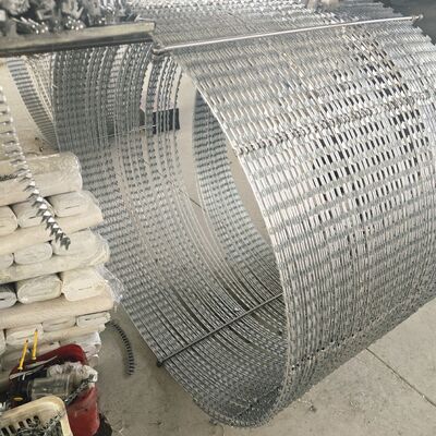 KN Galvanized Barbed Wire Security Fencing With Barbed Blade From China Razor Wire