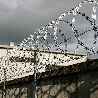 Stainless Steel Barbed Wire Mesh Snake Belly Mesh Galvanized Razor Roll Secure Garden Security Barrier