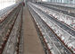 رخيصة الثمن 3 طبقات 96 Birds Egg Battery Layer Zambia Poultry Chicken Cages