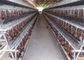 نظام آلي Q235 4 طبقات قفص دجاج للمزرعة