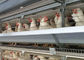 A نوع 96 الطيور الدجاج وضع البيض قفص المجلفن لتربية طبقة