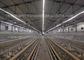 معدات مزرعة الدواجن A Type Q235 Layer Chicken Cage 4 Tiers