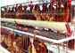 نوع النظام الأوتوماتيكي 128 أقفاص دجاج الدواجن معدات مزرعة طبقة البيض