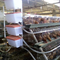 قفص دجاج بطبقة أوتوماتيكية 3/4 طبقات من الحيوانات المتينة من النوع أ
