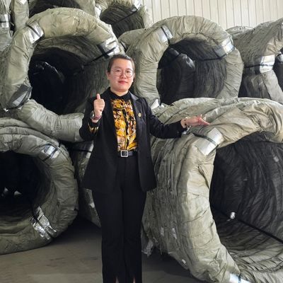 Egoza Concertina Wire Sending Sharbed Sharp Protects for Mitter