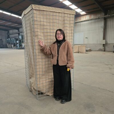 الحاجز العسكري Hesco حصن شبكة الأسلاك مربع غابيون مع الأسلاك ربطة عنق المدارية والأسلاك سميكة قطر لتحسين الاستقرار
